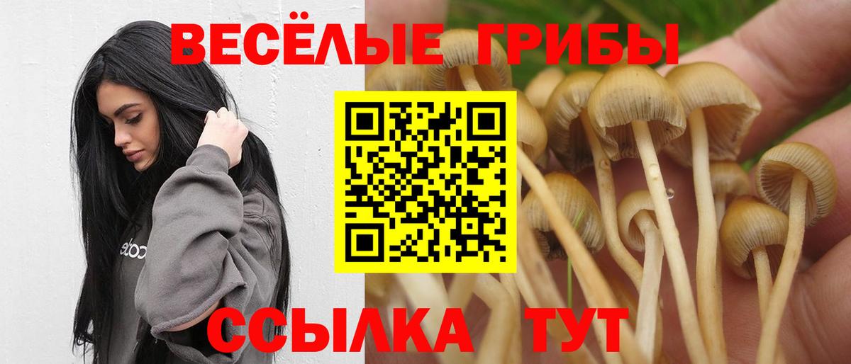 Галлюциногенные грибы Cubensis Нововоронеж